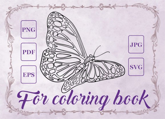 Butterfly Vector Adult Coloring Book Graphics & Pages Amp