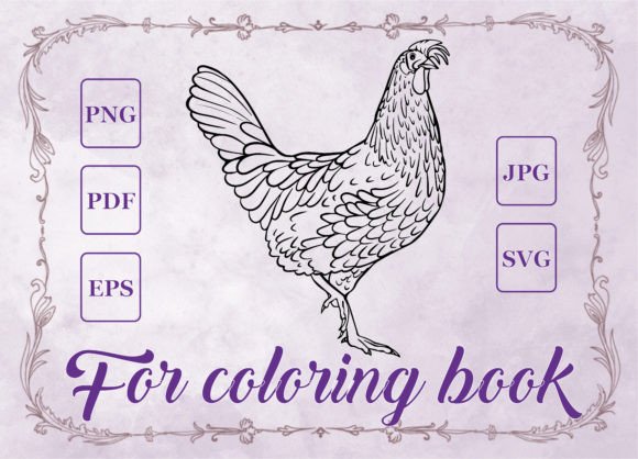 Cock Vector Adult Coloring Book Graphics & Pages Amp