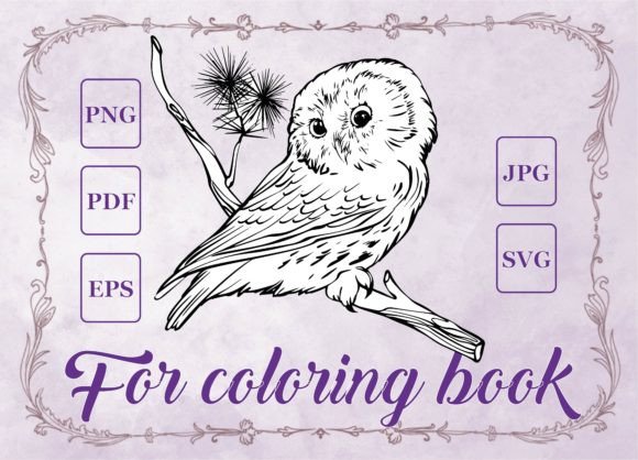 Owl on a Branch: A Versatile Graphic for Coloring Pages and Commercial Use