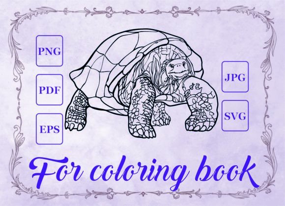Using Turtle Animals Graphics for Commercial Coloring Pages