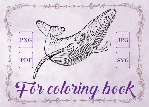 Whale Adult Coloring Book Graphics & Coloring Pages Amp Review